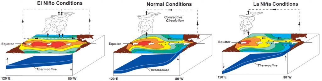 The three major conditions of ENSO explained by NOAA.