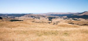 Drought Gisborne 2017